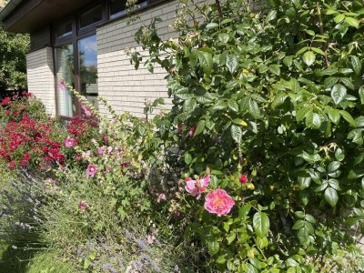 Holiday house "Kiek in" 1 - Environment photo 73