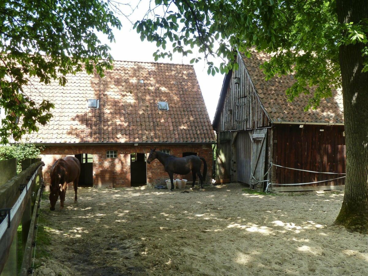 Apartment Wohnung in Dorfmark nahe Lüneburger Heide