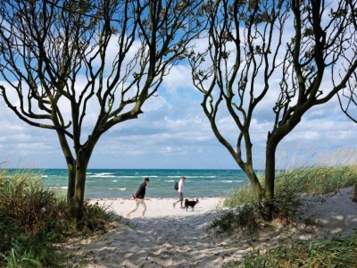 Bungalow Bungalow auf der Insel Poel für 2 Personen - Environment photo 33