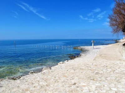 Villa Villa in Istria with Heated Eco Pool - Environment photo 34