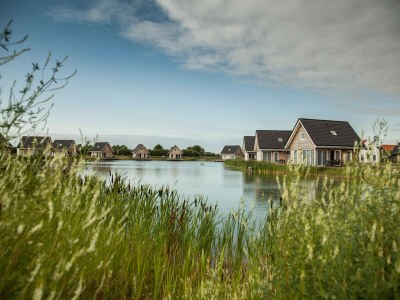 Holiday park Holiday Home in Zeeland near North Sea Beach - Environment photo 27
