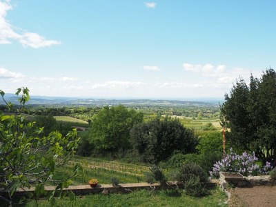 Holiday house Ferienhaus in Provence am Mont Ventoux - Outdoor photo 6