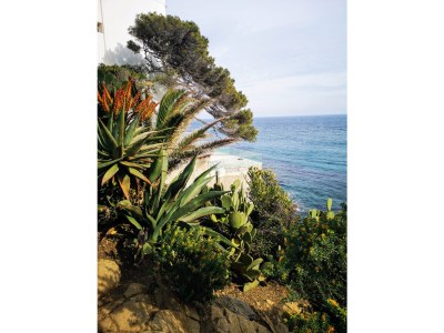 Villa Micoline - Environment photo 17