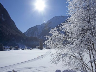 Apartment Apartment Neukirchen near Ski Slopes - Environment photo 24