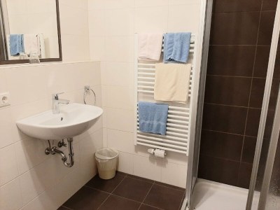Apartment Apartment in Radstadt near Ski Amadé - Features photo 16
