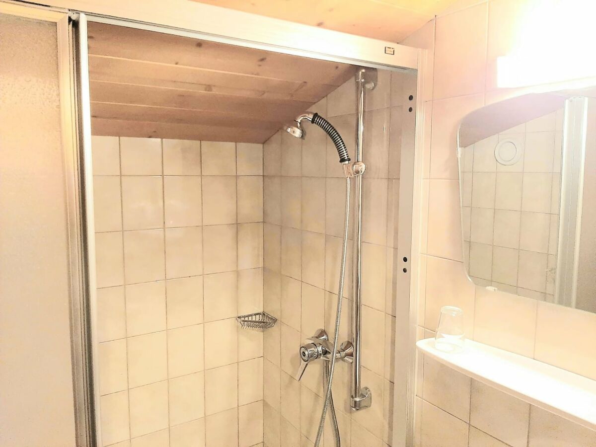 Apartment Wohnung in Radstadt nahe Ski Amadé - Features photo 5