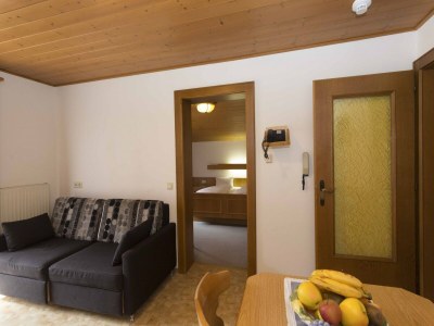Apartment Wohnung in Radstadt nahe Ski Amadé - Features photo 6