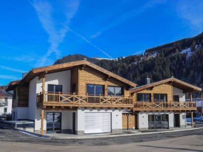 Holiday house Apartment in Kleinarl near Ski Slopes in Salzburger Sportwelt - Holiday house