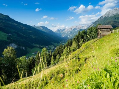 Holiday house Apartment in Kleinarl near Ski Slopes - Environment photo 31