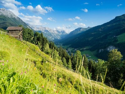 Holiday house Apartment in Kleinarl near Ski Slopes - Environment photo 32