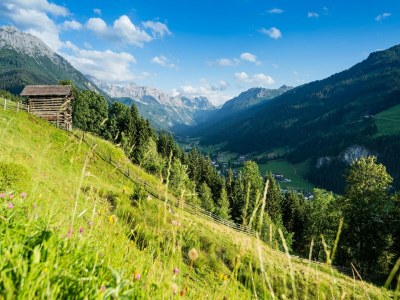 Holiday house Wohnung in Kleinarl nahe Skipisten - Environment photo 6