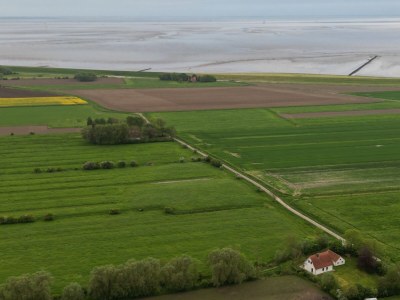 Holiday house Haus in de Marsch - Environment photo 12