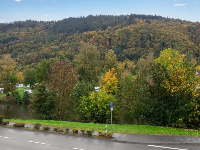 Holiday house Serene Stay by the Moselle - Environment photo 34