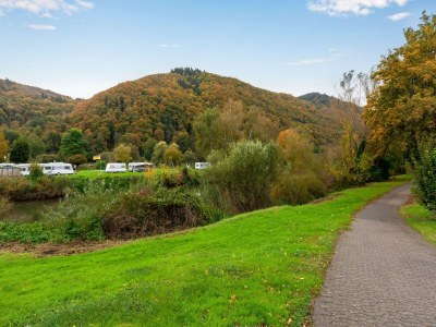 Holiday house Serene Stay by the Moselle - Environment photo 35
