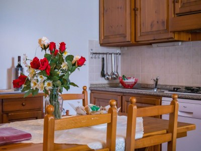 Apartment Apartment in Tuscany with Pool & Garden - Features photo 31