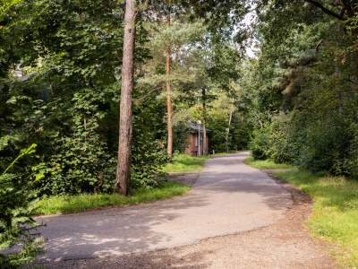 Holiday park Bungalow in Putten nahe Veluwe-Wälder - Environment photo 9