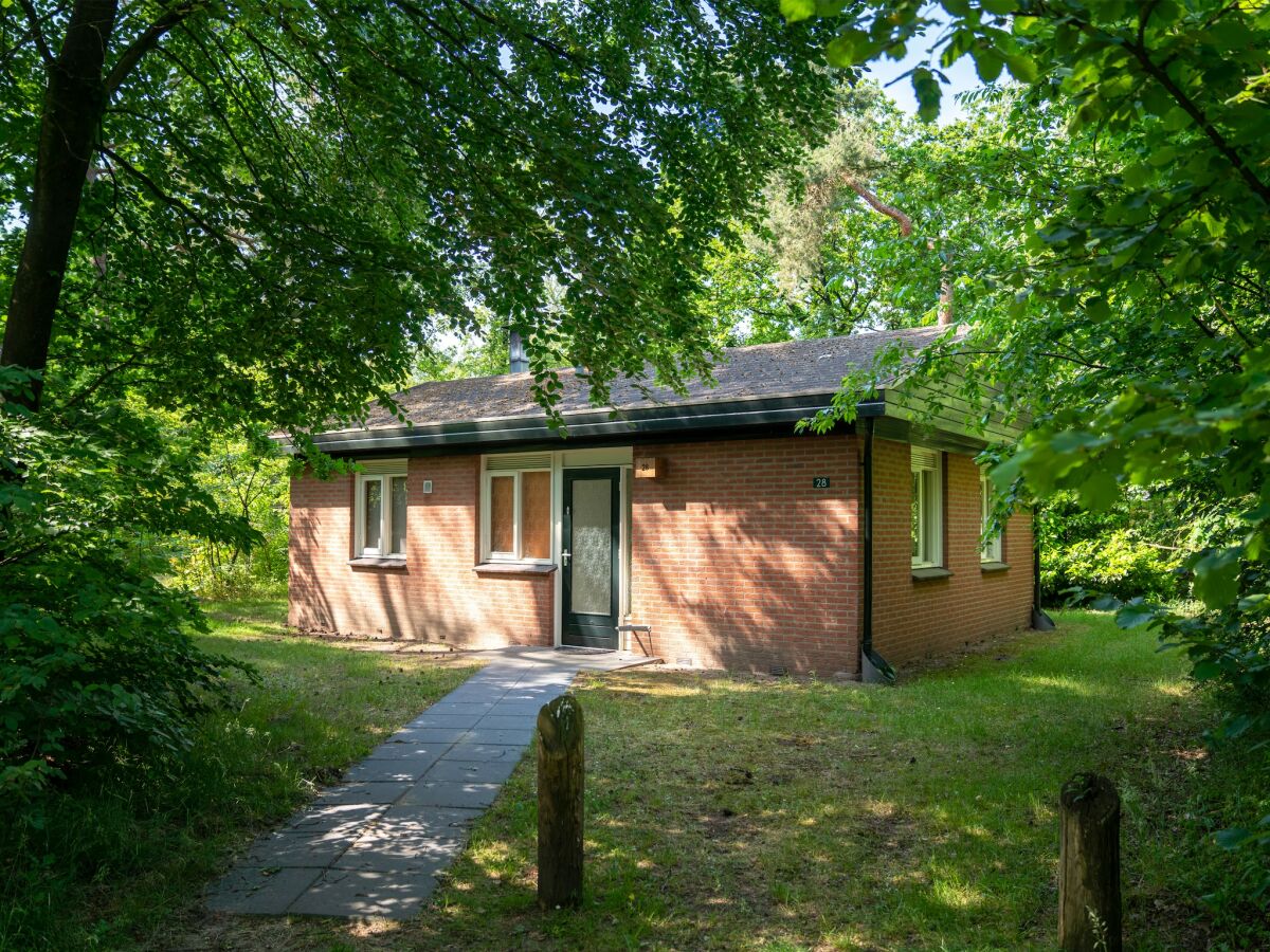 Holiday park Pet-Friendly Forest Escape