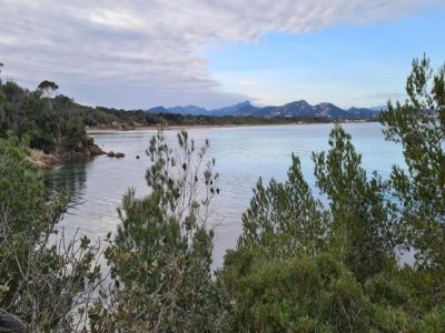 Holiday park Apartment in Giens with Pool & Beach Access - Environment photo 35