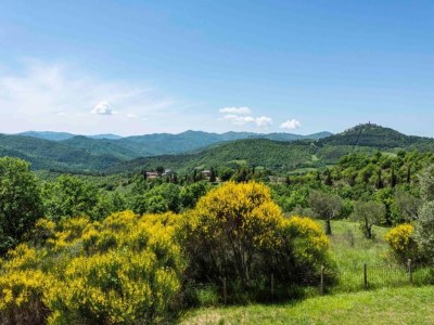 Holiday house Ferienhaus Monte Santa Maria mit Pool - Environment photo 23