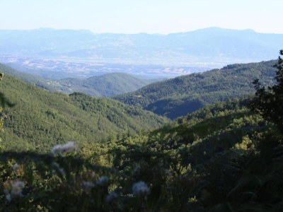 Holiday house Ferienhaus Monte Santa Maria mit Pool - Environment photo 32