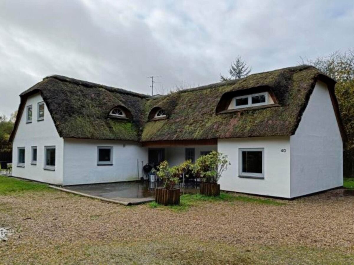 Holiday house 4 star holiday home in Brande