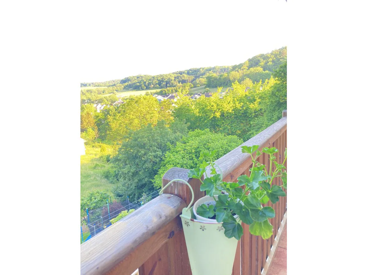 Holiday apartment Auf der Wiese