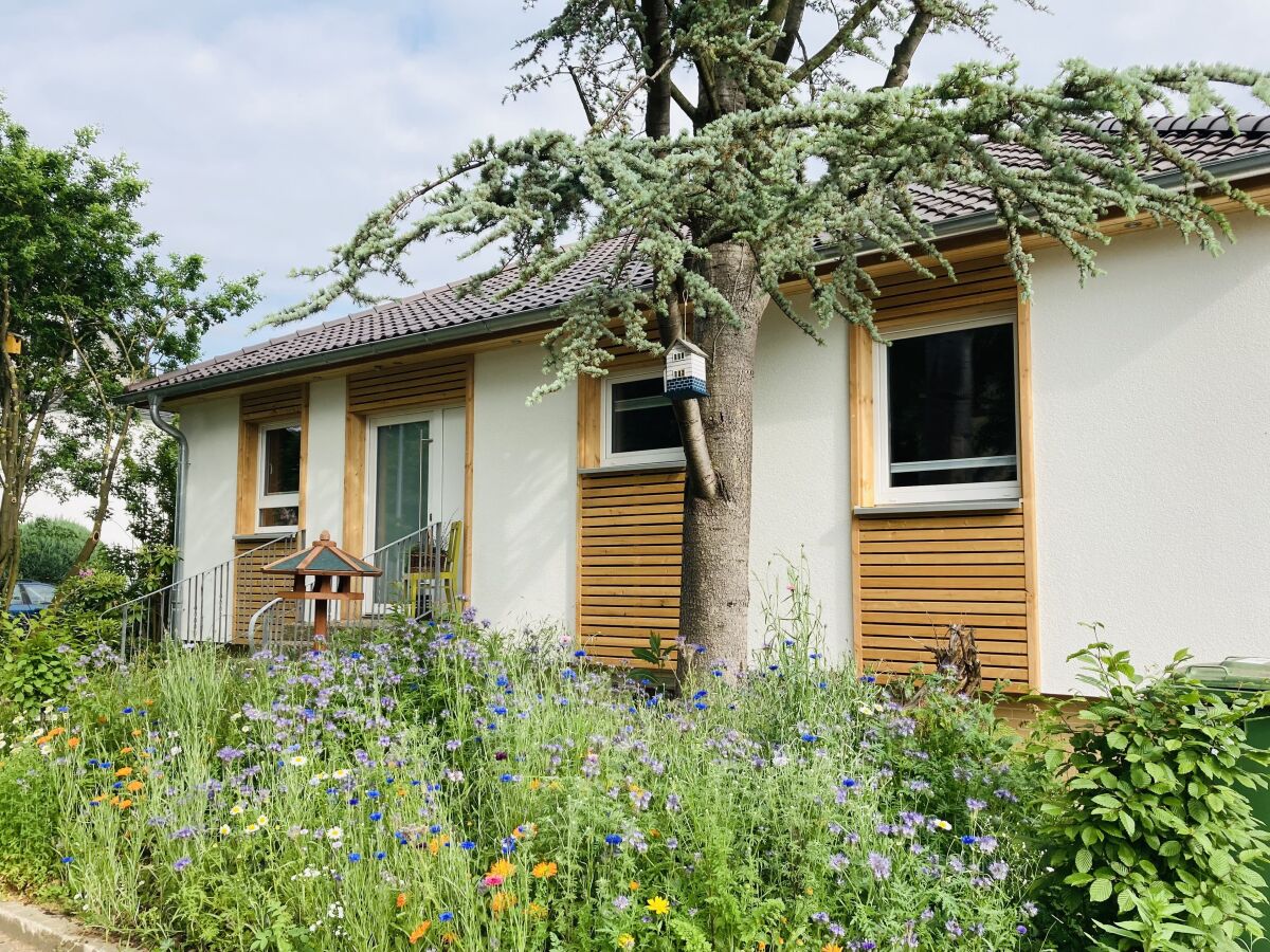 Holiday house Urwald