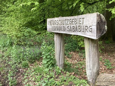 Holiday house Urwald - Environment photo 27