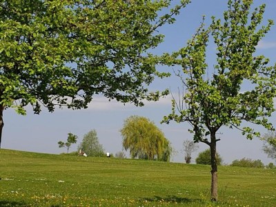 Apartment Ferienhaus in Meisdorf - Environment photo 36