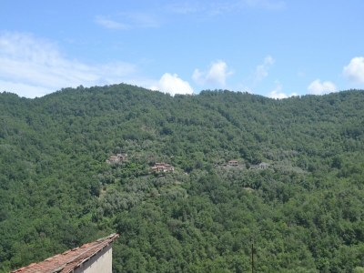Holiday house Naturrefugium in Testico - Environment photo 34