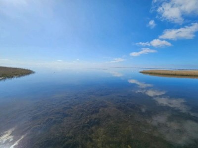 Apartment 4 person holiday home in Ringkøbing-By Traum - Outdoor photo 35