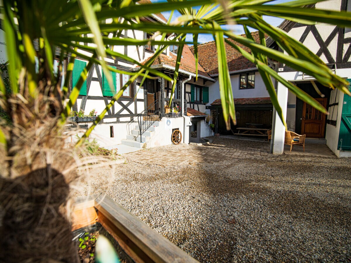 Holiday house Le Vieux Pressoir - Gîtes authentiques en Alsace pour 2 à 15 personnes