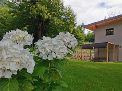 Holiday house Trojer - Outdoor photo 10