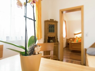 Cottage Sunny Alpine Apartment by the Slopes - Outdoor photo 34