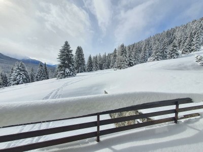 Holiday apartment LA Schmetta 65 Quadroni - Environment photo 32
