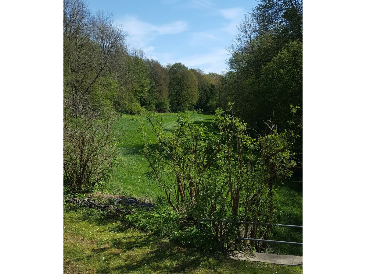 Apartment 2-Bett-Ferienwohnung In der Stegwiese - Outdoor photo 2