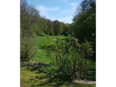 Apartment 2-Bett-Ferienwohnung In der Stegwiese - Outdoor photo 2