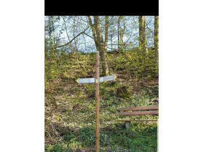 Apartment 2-Bett-Ferienwohnung In der Stegwiese - Outdoor photo 24
