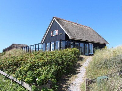 Holiday house Heideparel in Buren - Holiday house
