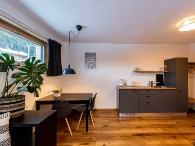Apartment Gartenappartement Ski-in Ski-out - Outdoor photo 13