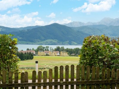 Holiday house Holiday Home Attersee near Hiking Trails - Outdoor photo 7