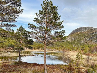 Holiday house 4 person holiday home in Lysøysundet - Outdoor photo 8