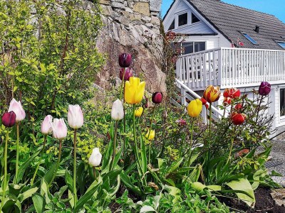 Holiday house Kustennaher Fischerhafen-By Traum - Outdoor photo 20