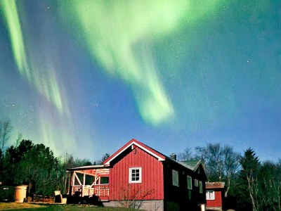 Holiday house 6 person holiday home in Storfosna-By Traum - Outdoor photo 9