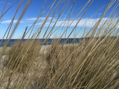 Holiday house "Ostseetraum" - Environment photo 33