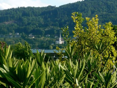 Holiday apartment Carantania 1 - Outdoor photo 6