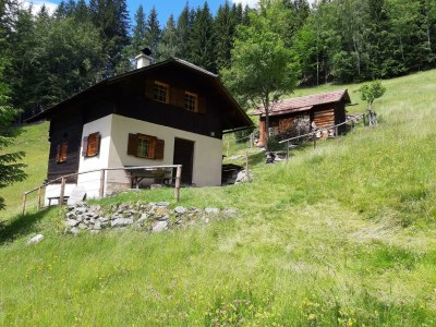 Apartment Ferienhaus Greithhütte in Mürzzuschlag - Apartment