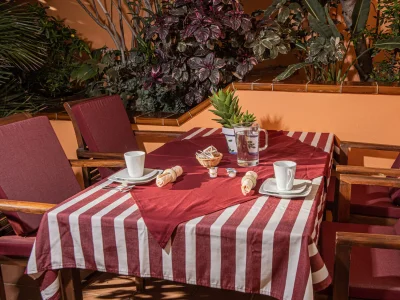 Holiday apartment Claudia" - directly set at the beach, very tranquile! 1 in Costa Calma - Holiday apartment