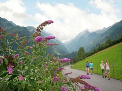 Cottage Ferienwohnung Imbachhorn – direkt an der Piste - Outdoor photo 4