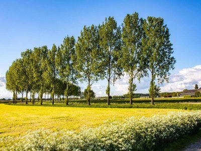 Holiday house Getaway with Garden in Gelderland - Environment photo 31